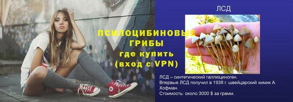 гидропоника Верея