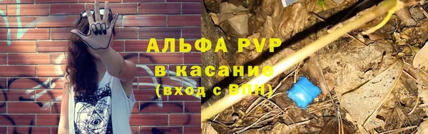 ГАЛЛЮЦИНОГЕННЫЕ ГРИБЫ Верхний Тагил