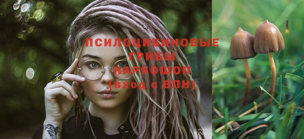дурь Верхнеуральск