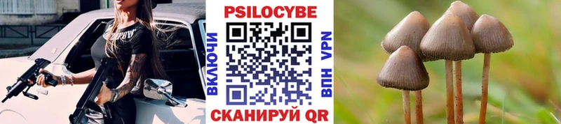 Галлюциногенные грибы мухоморы  Севастополь 